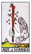 Ace of Wands Tarot card Meaning